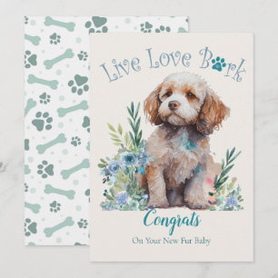 Cockapoo Dog Adoption, Gotcha Tag Karte