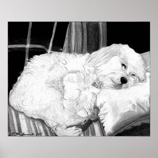 Cockapoo Dog Portrait Poster Print (Vorne)