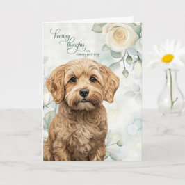 Cockapoo Dog White Roses and Sage Green Get Well Karte