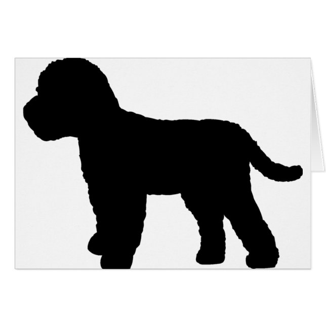 Cockapoo Hund (Vorderseite (Horizontal))