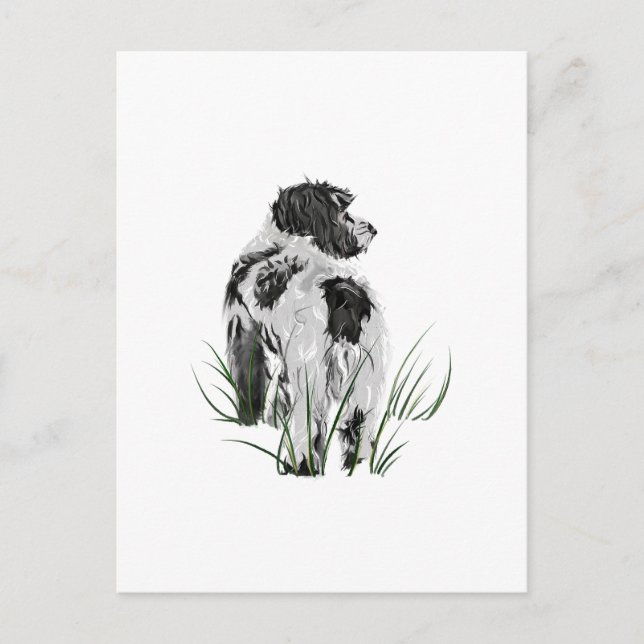 Cockapoo Hund, Aquarell Postkarte (Vorderseite)