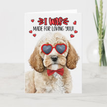 Cockapoo Hund gemacht für die Liebe Sie Valentine