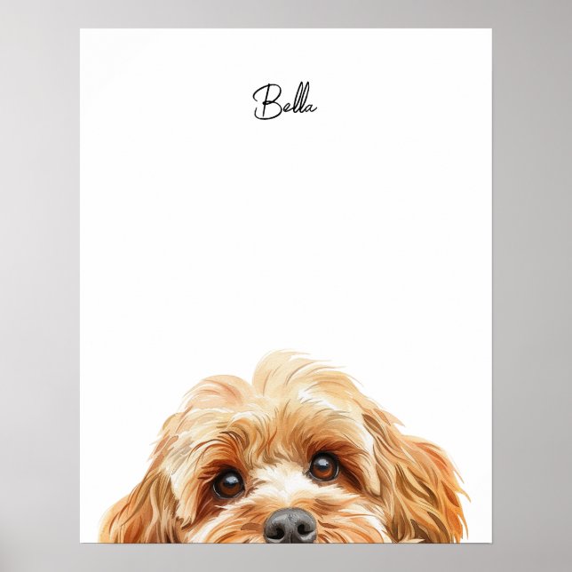 Cockapoo-Hund personalisierter Druck Poster (Vorne)