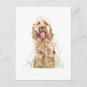 Cockapoo-Hunde-Postkarte – Aquarell-Tierkunst Postkarte