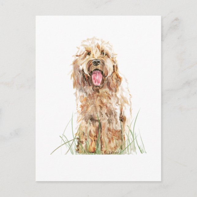 Cockapoo-Hunde-Postkarte – Aquarell-Tierkunst Postkarte (Vorderseite)