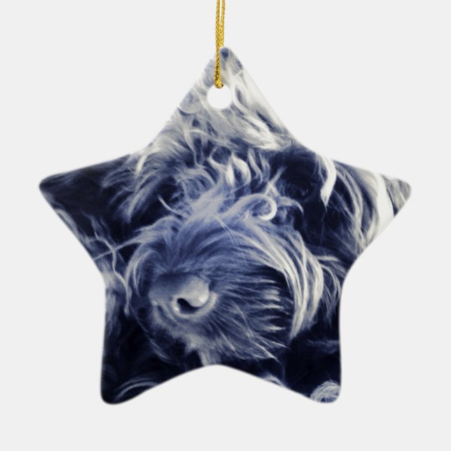 Cockapoo Keramik Ornament (Vorne)