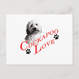Cockapoo-Liebe Postkarte