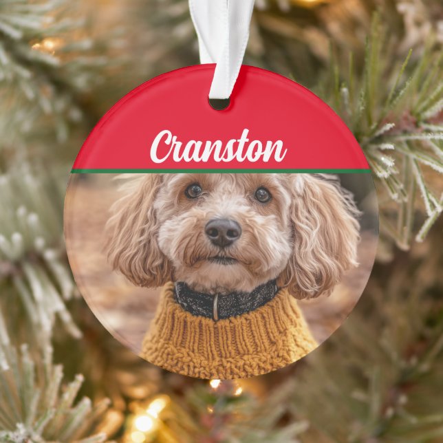 Cockapoo Santa Dog mit Name und Foto Ornament (Baum)