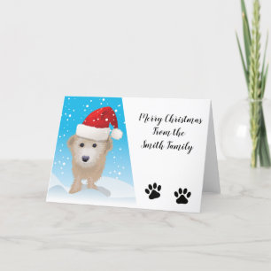 Cockapoo Weihnachtskarte Feiertagskarte