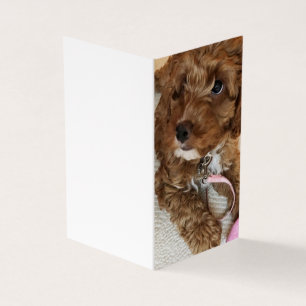 Cockapoo Welpe Geburtstagskarten.