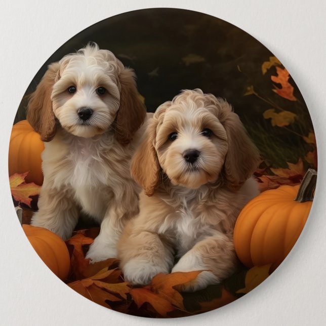 Cockapoo-Welpe Herbstfreude Kürbis Button (Vorderseite)