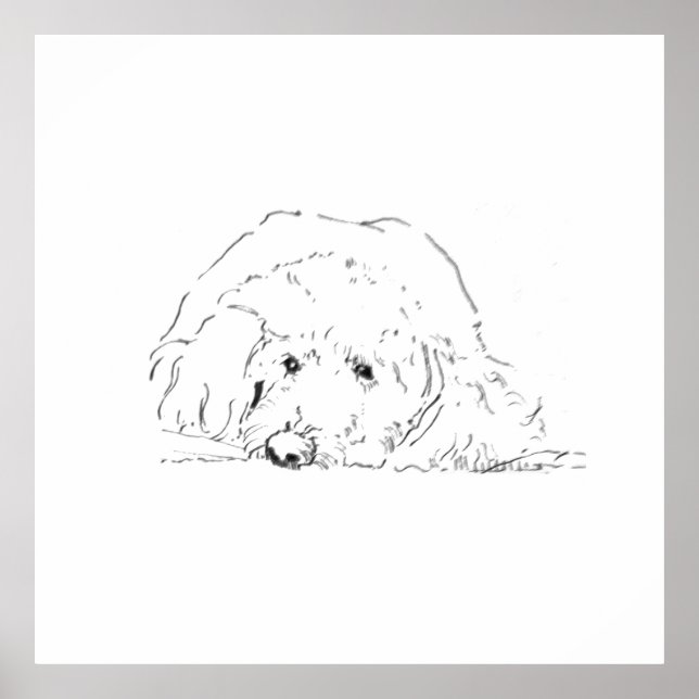 Cockapoo-Welpenposter, Geschenkideen für Hundebesi Poster (Vorne)