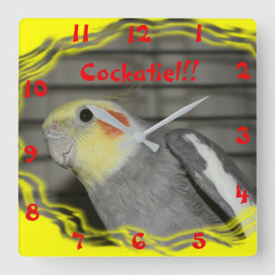 Cockatie-Wall-Uhr Quadratische Wanduhr