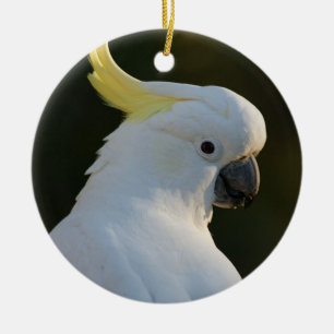 Cockatiel Bird Keramik Ornament