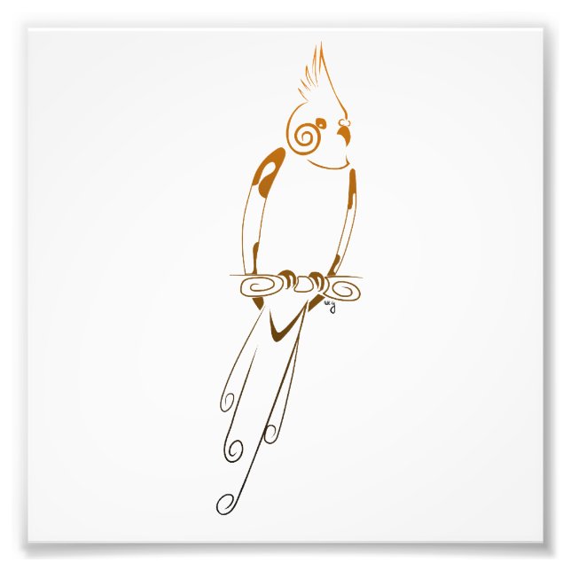 Cockatiel Fotodruck (Vorne)