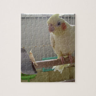 Cockatiel Fun Puzzle