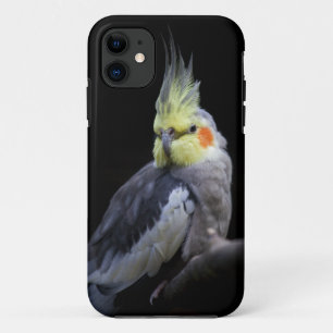 Cockatiel iPhone 5 Case-Mate-Fall 11 Hülle