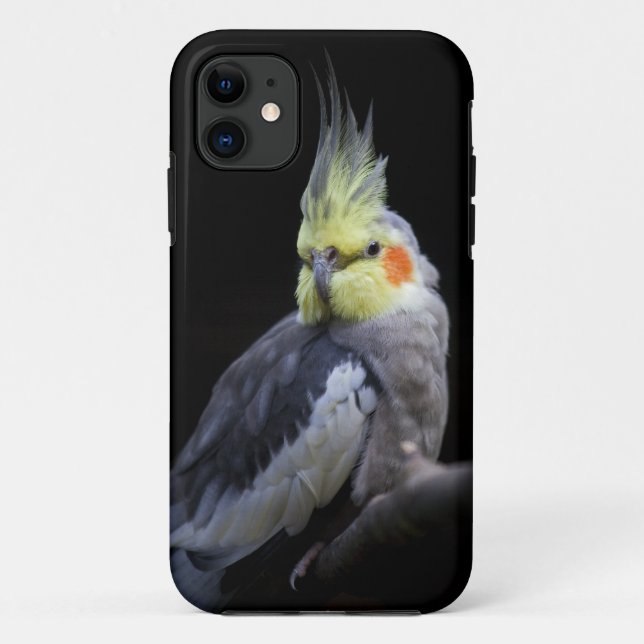 Cockatiel iPhone 5 Case-Mate-Fall Case-Mate iPhone Hülle (Rückseite)