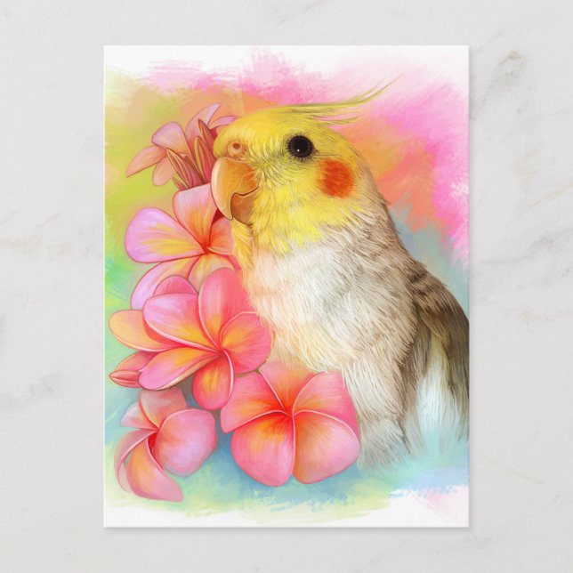 Cockatiel mit Frangipani Postkarte (Vorderseite)