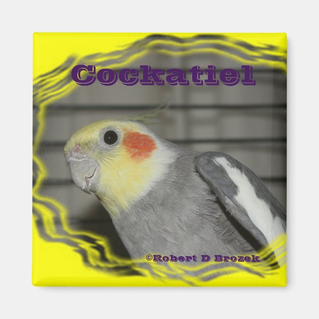 Cockatiel Pet Bird MAGNET (Vorne)