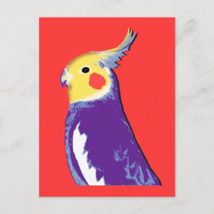 Cockatiel Pop Art Postkarte