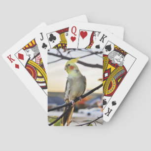 Cockatiel-Profil-Fotografie Spielkarten