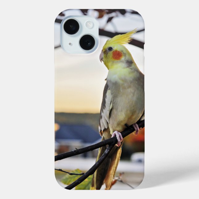 Cockatiel-Profilbild Case-Mate iPhone Hülle (Rückseite)