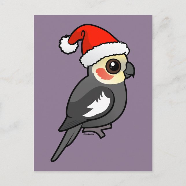 Cockatiel Santa Feiertagspostkarte (Vorderseite)