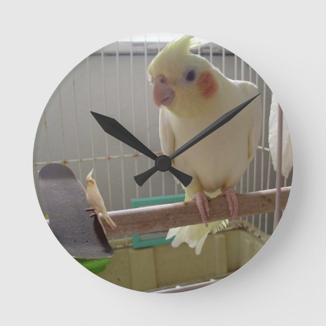 Cockatiel-Spaß Runde Wanduhr (Vorderseite)