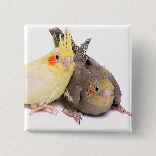 Cockatiels Button (Vorderseite)