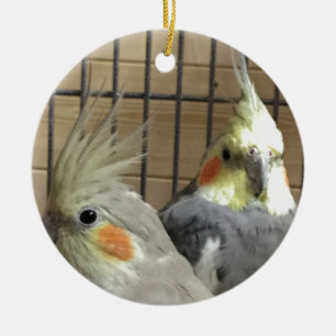 Cockatiels Keramik Ornament