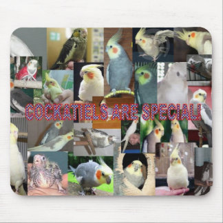 Cockatiels sind speziell mousepad