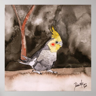 Cockatielvogelmalerei-Kunstdruck Poster
