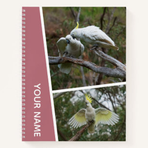 Cockatoe Australia Parrot Bird Fotos Rose Gold Notizbuch
