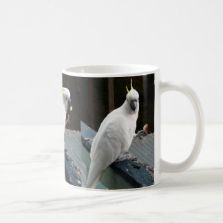 Cockatoo am Frühstück Tasse