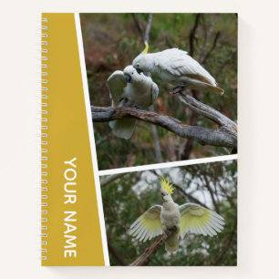 Cockatoo Australia Parrot Bird Foto Collage Gold Notizbuch
