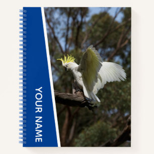 Cockatoo Australia Parrot Bird Wings, Blue Notizbuch