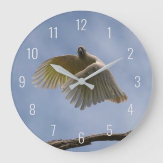 Cockatoo Bird Parrot Flying in Sky Australia Große Wanduhr