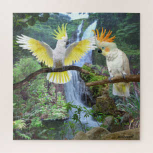 COCKATOO COURTSHOF PUZZLE