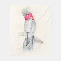 Cockatoo
