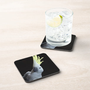 Cockatoo Getränkeuntersetzer