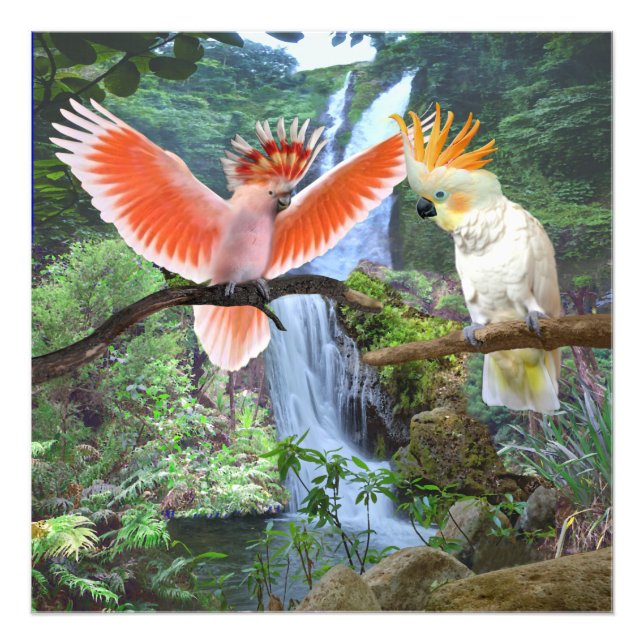 COCKATOO PARROS IN PARADISCH FOTODRUCK (Vorne)