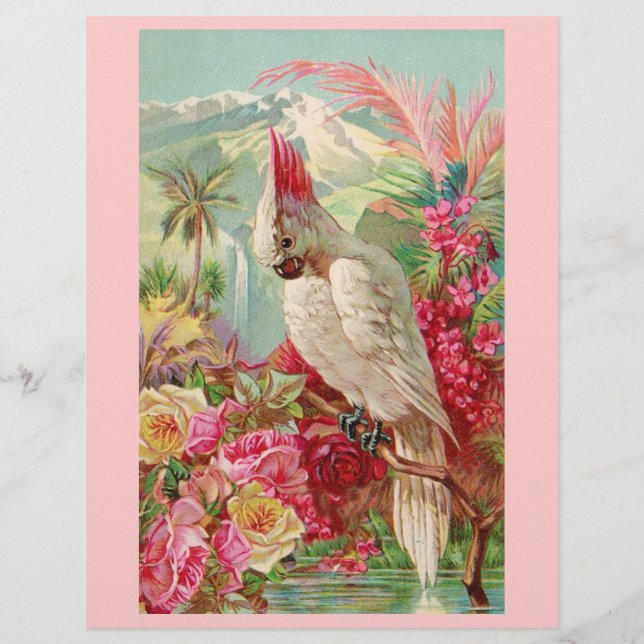 Cockatoo Pink Roses (Vorderseite)