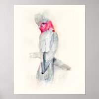 Cockatoo