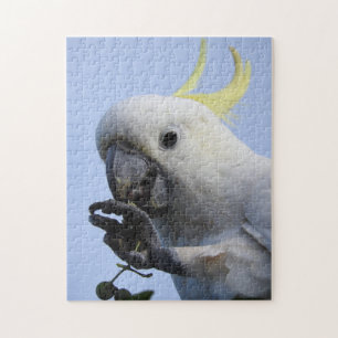 Cockatoo-Puzzlespiel Schwefel-Mit Haube Puzzle