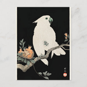 Cockatoo und Granatapfel, schöne Kunst von Ohara K Postkarte