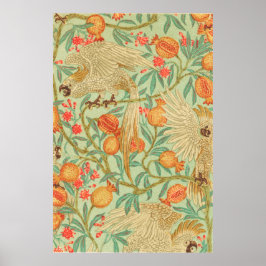 Cockatoo und Granatapfeldrucke Antike Poster