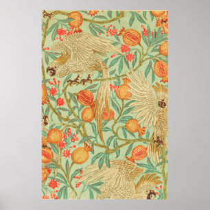 Cockatoo und Granatapfeldrucke Antike Poster