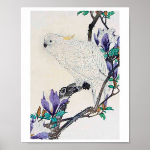 Cockatoo und Lily Magnolia, Imao Keinen Poster