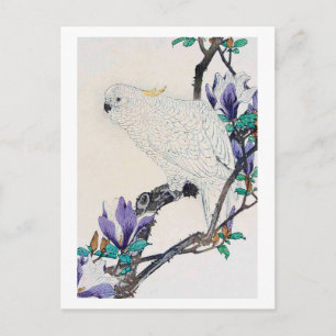 Cockatoo und Lily Magnolia, Imao Keinen Postkarte